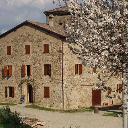 Agriturismo Ca' Bertu' Zappolino Exteriér fotografie