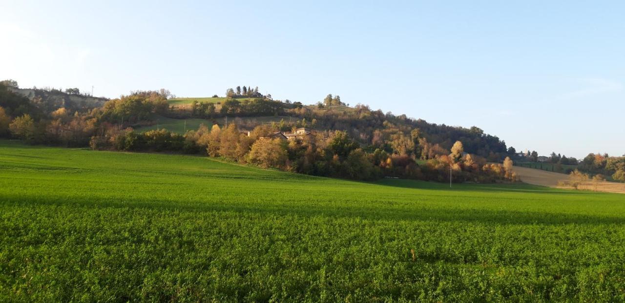 Agriturismo Ca' Bertu' Zappolino Exteriér fotografie