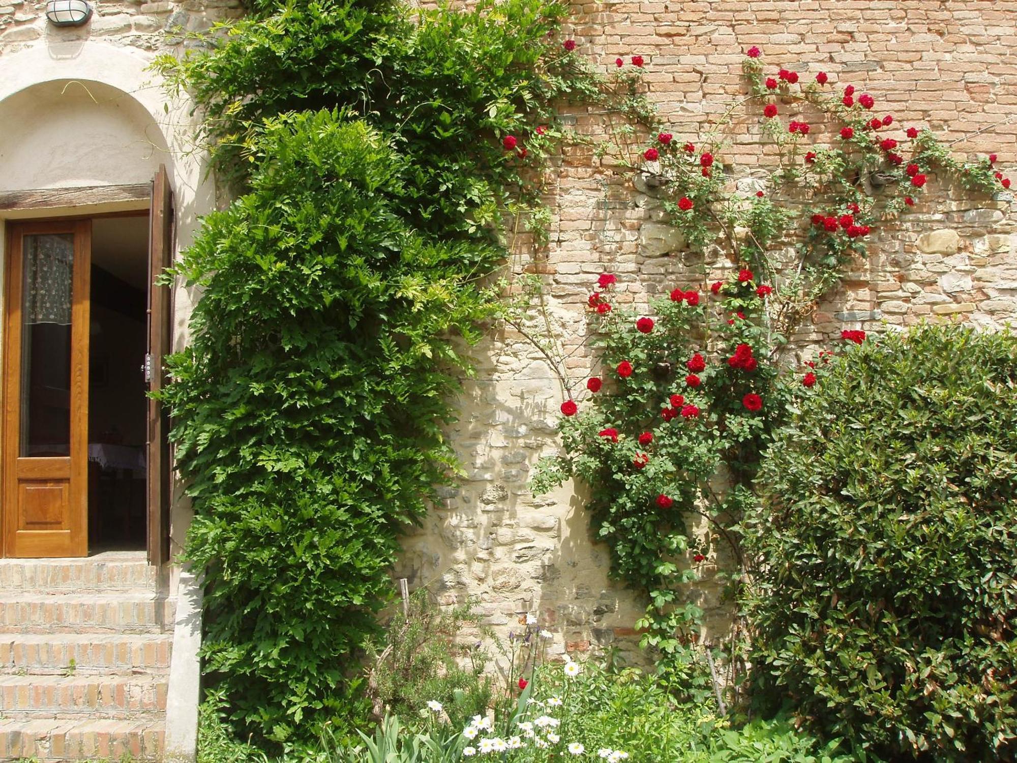 Agriturismo Ca' Bertu' Zappolino Exteriér fotografie